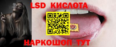 прущие грибы Кандалакша