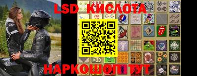 прущие крисы Камышлов