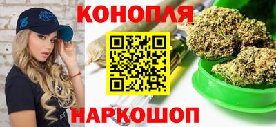 прущие крисы Камышлов