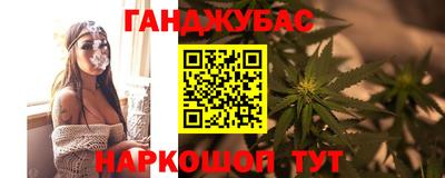 прущие грибы Кандалакша