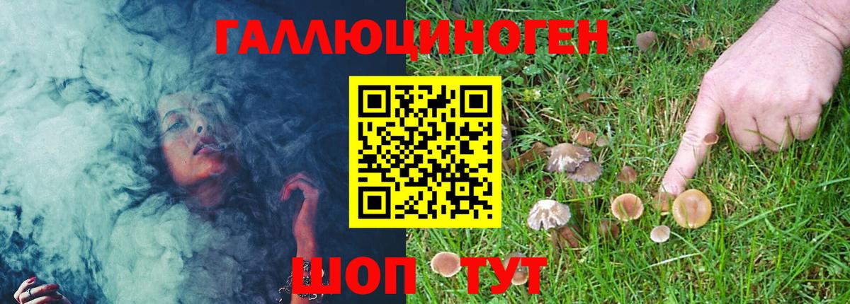 Галлюциногенные грибы Magic Shrooms Юрга
