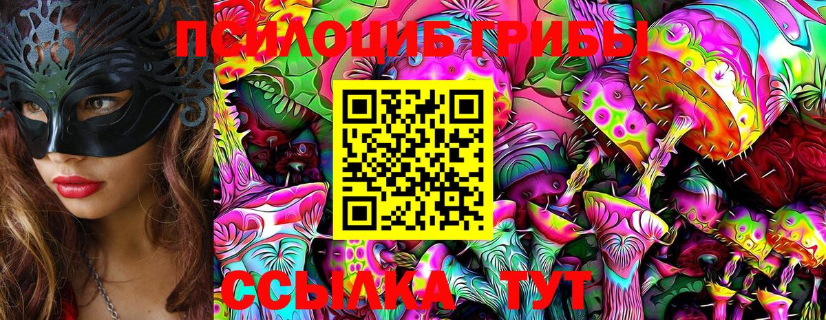Юрга  Псилоцибиновые грибы мухоморы  Вход с VPN  Псилоцибиновые грибы Magic Shrooms 